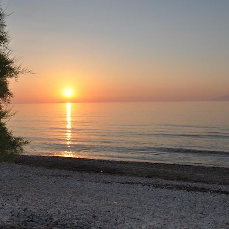 Tassos Apartments Corfu  Esterno foto